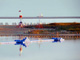 Badesteg - Foto: &copy; G&uuml;nter Santjer