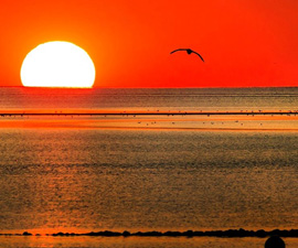 B&uuml;sum, Tor zum UNESCO Weltnaturerbe Wattenmeer� - Foto: &copy; www.gerhardts-fotografie.de