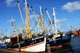 Kutter im B&uuml;sumer Hafen - Foto: &copy; G&uuml;nter Santjer